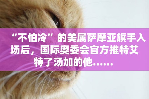 “不怕冷”的美屬薩摩亞旗手入場后，國際奧委會官方推特艾特了湯加的他…… 