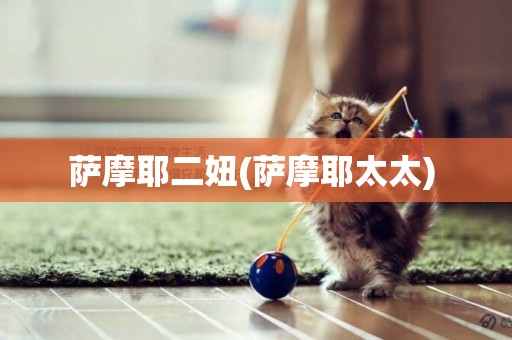 薩摩耶二妞(薩摩耶太太) 