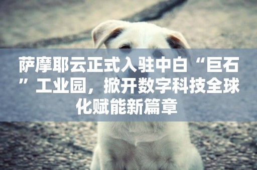 薩摩耶云正式入駐中白“巨石”工業園，掀開數字科技全球化賦能新篇章 