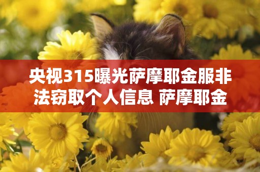 央視315曝光薩摩耶金服非法竊取個人信息 薩摩耶金服回應：已成立專項調查組 