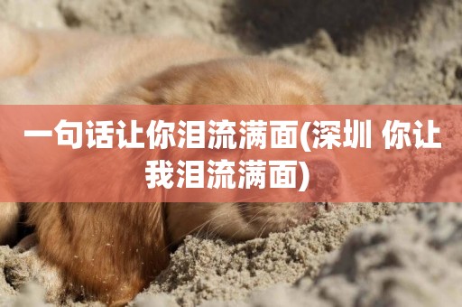 一句話讓你淚流滿面(深圳 你讓我淚流滿面) 