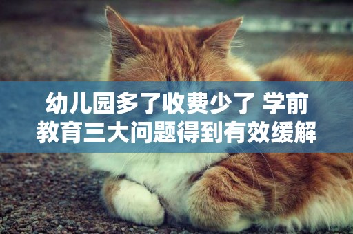 幼兒園多了收費少了 學前教育三大問題得到有效緩解 