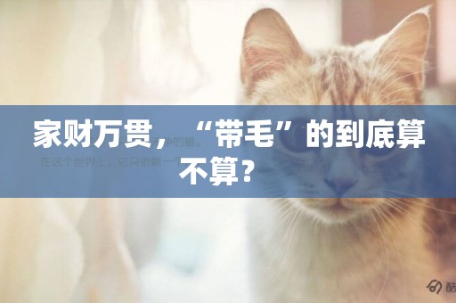家財萬貫，“帶毛”的到底算不算？ 