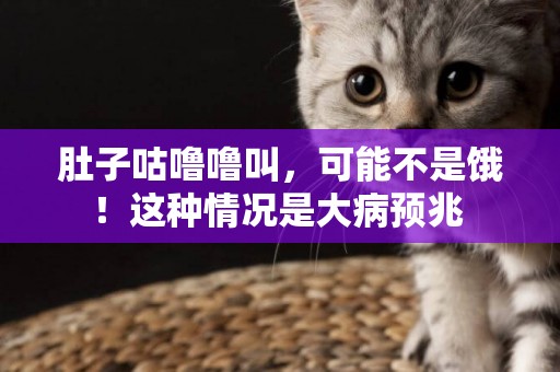 肚子咕嚕嚕叫，可能不是餓！這種情況是大病預兆 