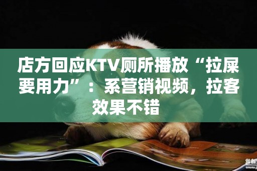 店方回應KTV廁所播放“拉屎要用力”：系營銷視頻，拉客效果不錯 