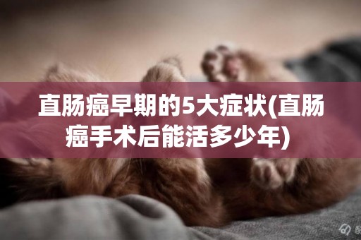 直腸癌早期的5大癥狀(直腸癌手術后能活多少年) 