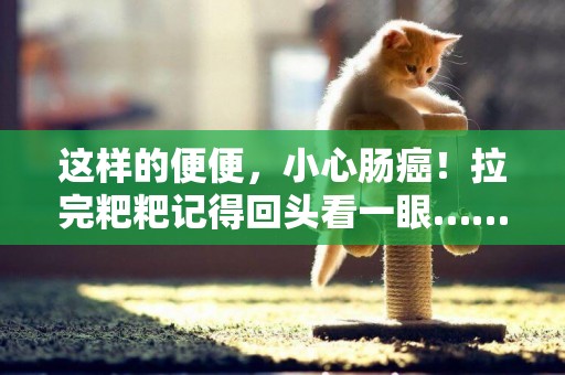 這樣的便便，小心腸癌！拉完粑粑記得回頭看一眼…… 