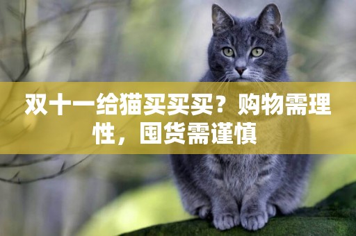 雙十一給貓買買買？購物需理性，囤貨需謹慎 