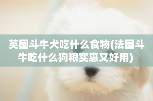 英國斗牛犬吃什么食物(法國斗牛吃什么狗糧實惠又好用) 