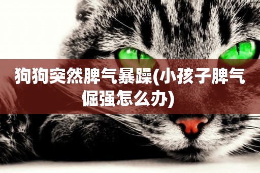 狗狗突然脾氣暴躁(小孩子脾氣倔強怎么辦) 