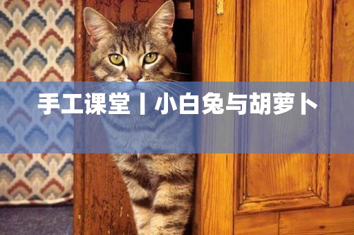 手工課堂丨小白兔與胡蘿卜 