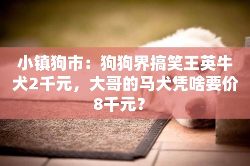 小鎮狗市：狗狗界搞笑王英牛犬2千元，大哥的馬犬憑啥要價8千元？ 