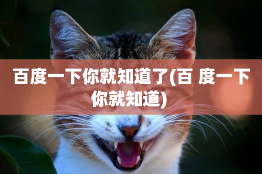 百度一下你就知道了(百 度一下你就知道) 