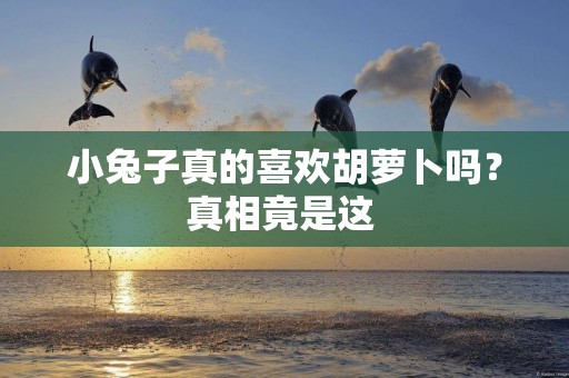 小兔子真的喜歡胡蘿卜嗎？真相竟是這 