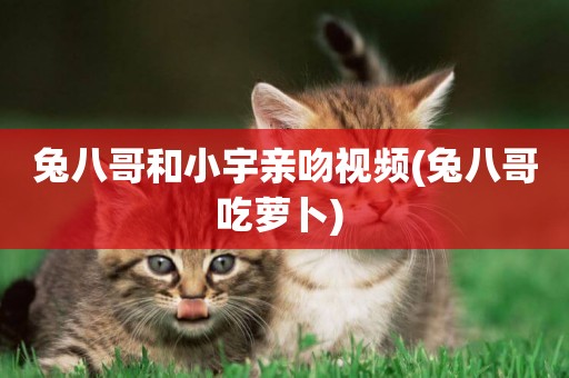 兔八哥和小宇親吻視頻(兔八哥吃蘿卜) 