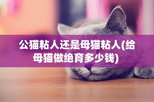 公貓粘人還是母貓粘人(給母貓做絕育多少錢) 