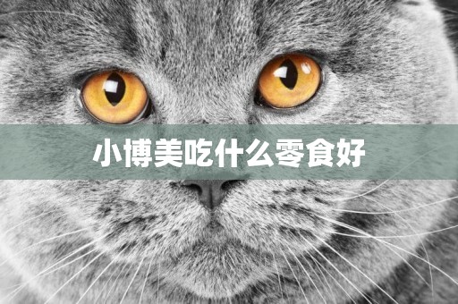 小博美吃什么零食好
