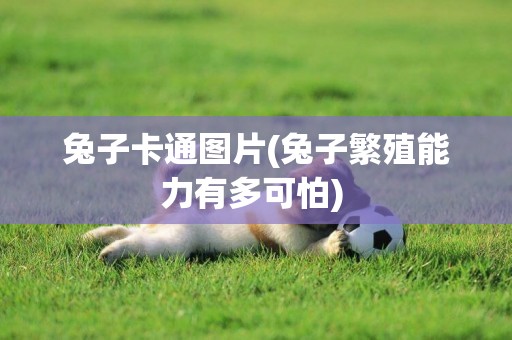 兔子卡通圖片(兔子繁殖能力有多可怕) 