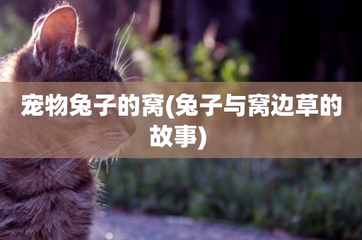 寵物兔子的窩(兔子與窩邊草的故事) 