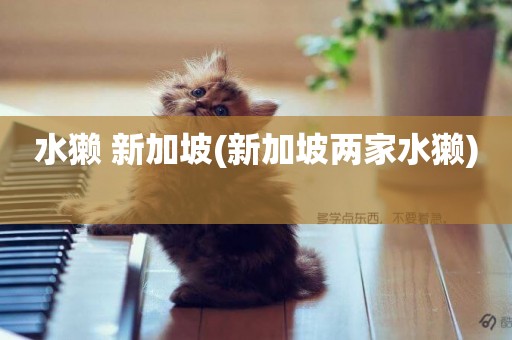 水獺 新加坡(新加坡兩家水獺) 