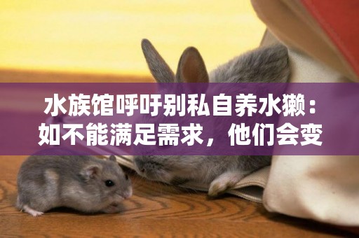 水族館呼吁別私自養水獺：如不能滿足需求，他們會變得有攻擊性 