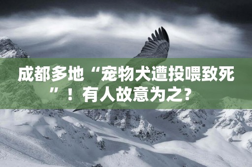 成都多地“寵物犬遭投喂致死”！有人故意為之？ 