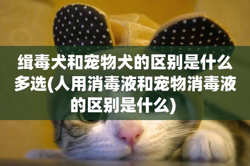 緝毒犬和寵物犬的區別是什么多選(人用消毒液和寵物消毒液的區別是什么) 