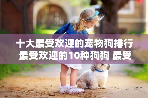 十大最受歡迎的寵物狗排行 最受歡迎的10種狗狗 最受喜歡的寵物狗 