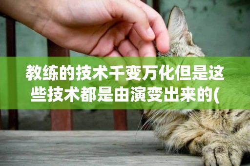 教練的技術千變萬化但是這些技術都是由演變出來的(千篇一律與千變萬化) 