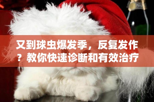 又到球蟲爆發季，反復發作？教你快速診斷和有效治療“球蟲” 