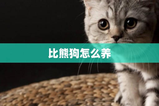 比熊狗怎么養