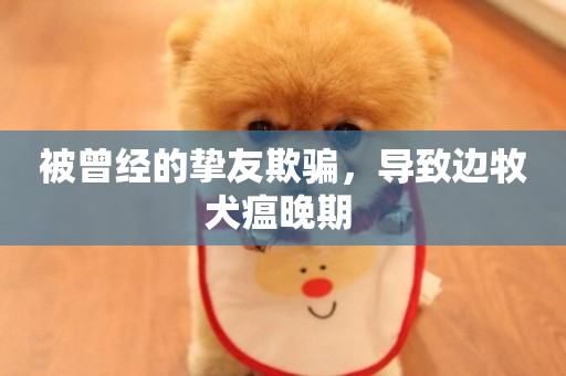 被曾經的摯友欺騙，導致邊牧犬瘟晚期 