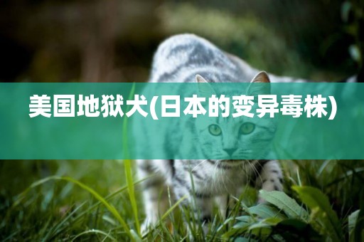 美國地獄犬(日本的變異毒株) 