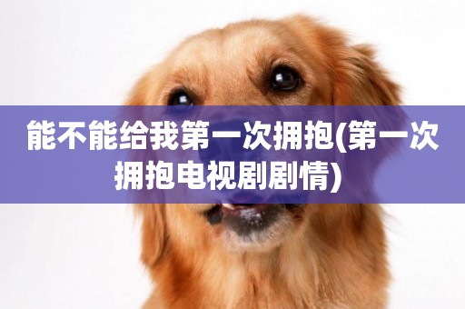 能不能給我第一次擁抱(第一次擁抱電視劇劇情) 