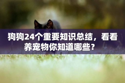 狗狗24個重要知識總結，看看養寵物你知道哪些？ 