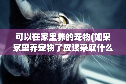 可以在家里養的寵物(如果家里養寵物了應該采取什么措施) 