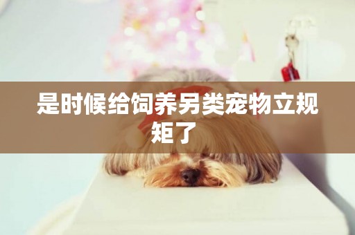 是時候給飼養另類寵物立規矩了 