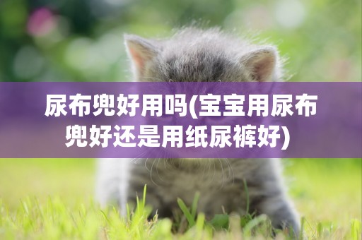 尿布兜好用嗎(寶寶用尿布兜好還是用紙尿褲好) 