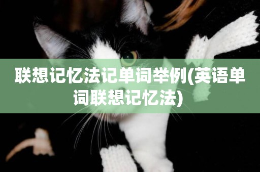 聯想記憶法記單詞舉例(英語單詞聯想記憶法) 