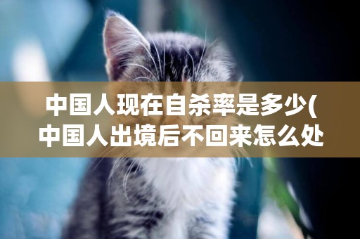 中國人現在自殺率是多少(中國人出境后不回來怎么處理) 