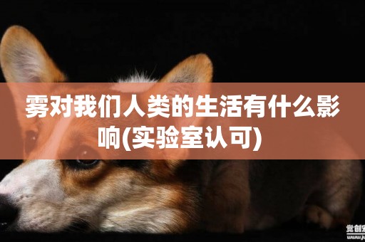 霧對我們人類的生活有什么影響(實驗室認可) 