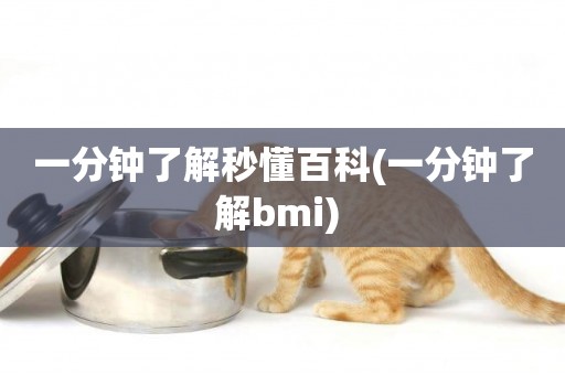 一分鐘了解秒懂百科(一分鐘了解bmi) 