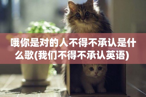 哦你是對的人不得不承認是什么歌(我們不得不承認英語) 
