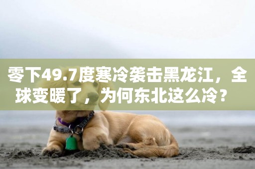 零下49.7度寒冷襲擊黑龍江，全球變暖了，為何東北這么冷？ 