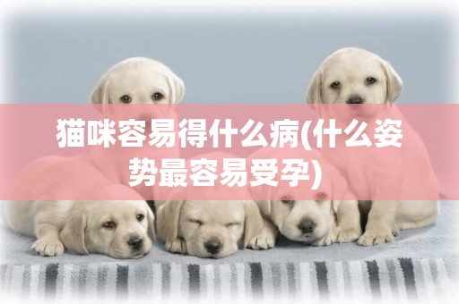 貓咪容易得什么病(什么姿勢最容易受孕) 