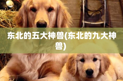 東北的五大神獸(東北的九大神獸) 