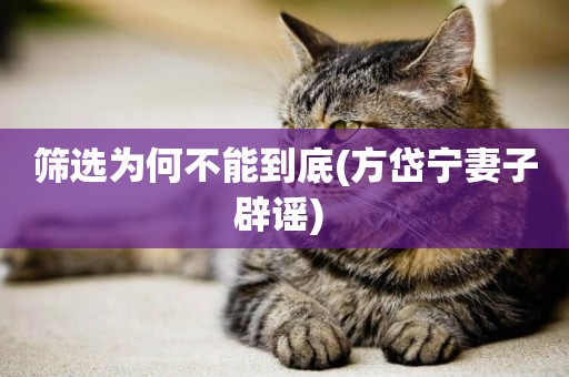 篩選為何不能到底(方岱寧妻子辟謠) 