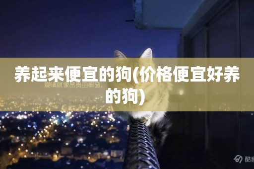 養起來便宜的狗(價格便宜好養的狗) 