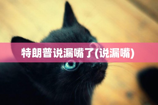 特朗普說漏嘴了(說漏嘴) 