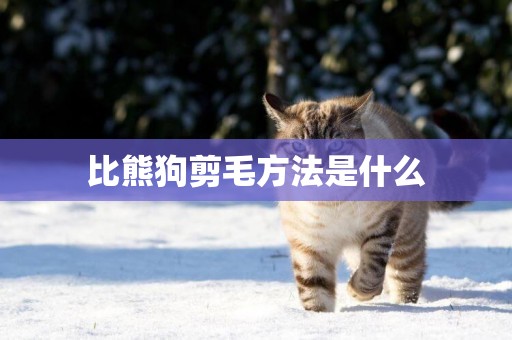 比熊狗剪毛方法是什么